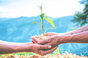 Scopri di più sull'articolo La tutela dell’ambiente entra nella costituzione
